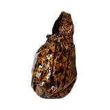 Gucci Patent Leather "Hysteria Hobo" Bag